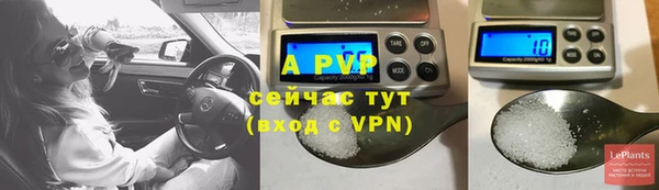 мяу мяу мука Абаза