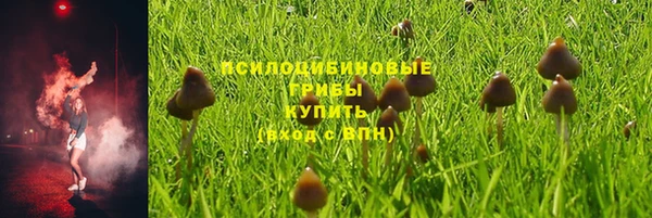 хмурый Абинск